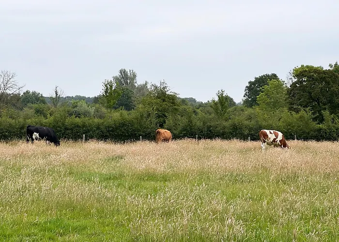 De Schutkooi - Tiny Nyaraló *