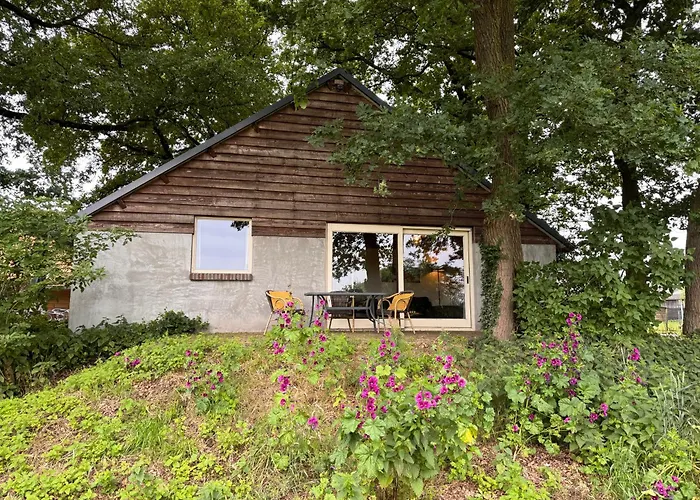 De Schutkooi - Tiny Dom wakacyjny Vortum-Mullem